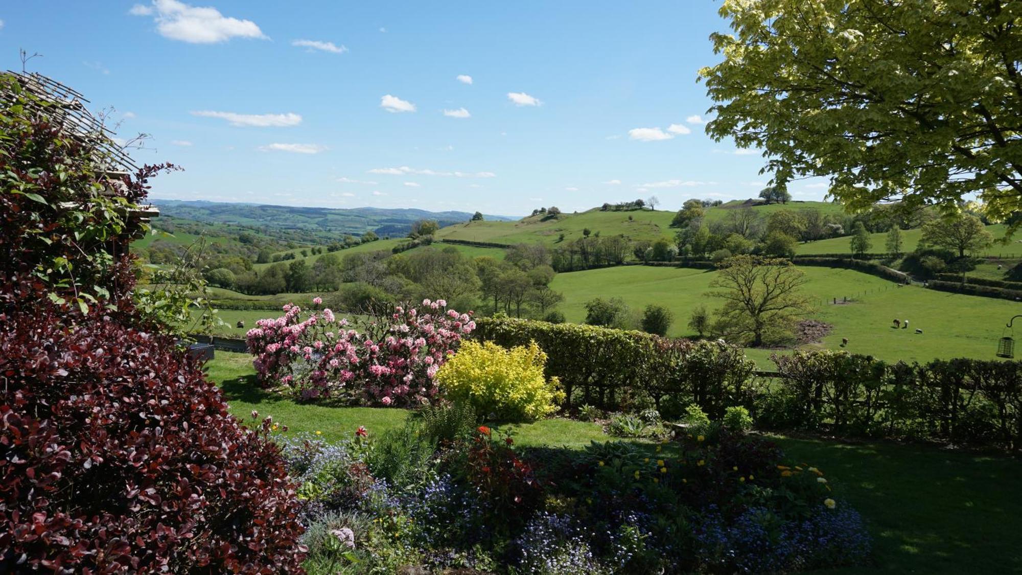Sheep Dip Cottage - 5* Cyfie Farm, With Log Burner And Private Hot Tub Llanfyllin ภายนอก รูปภาพ